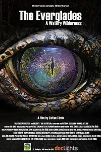 Главный постер фильма «Эверглейдс — водяная глушь (2015)»