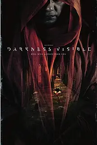 Главный постер фильма «Видимая тьма (2019)»