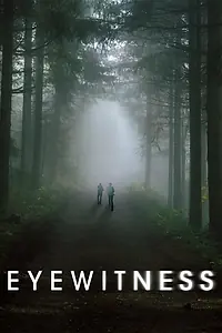 Постер к сериалу «Свидетели (2016)»