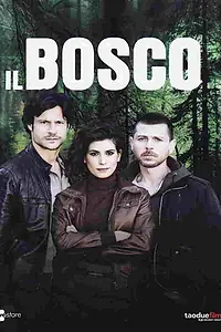 Постер к сериалу «Лес (2015)»