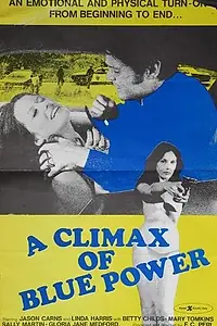 Главный постер фильма «Оргазм полицейского (1974)»