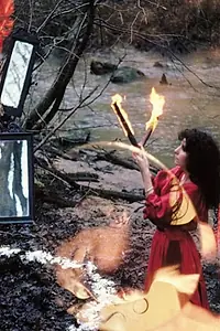 Постер к фильму «Selva. Un portrait de Parvaneh Navaï (1983)»