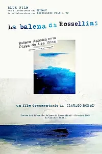 Постер к фильму «Кит Росселлини (2010)»