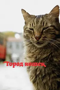 Постер к фильму «Город кошек (2016)»