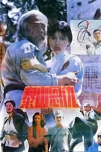 Постер к фильму «Месть на горе Тайшань (1991)»