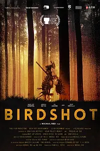 Постер к фильму «Дробь (2016)»