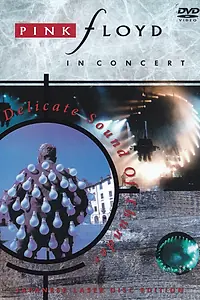 Главный постер фильма «Pink Floyd: Delicate Sound of Thunder (1989)»