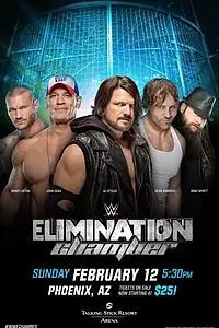 Главный постер фильма «WWE Камера ликвидации (2017)»