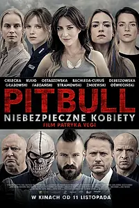 Постер к фильму «Питбуль. Опасные женщины (2016)»