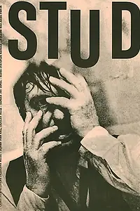 Постер к фильму «Stud (1967)»