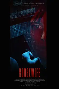 Главный постер фильма «Домохозяйка (2017)»