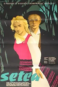 Постер к фильму «Бурные годы (1960)»