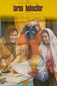 Главный постер фильма «Iarna bobocilor (1977)»