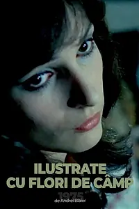 Постер к фильму «Открытки с полевыми цветками (1975)»