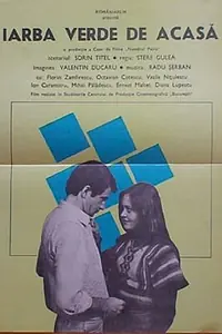 Постер к фильму «Iarba verde de acasa (1977)»
