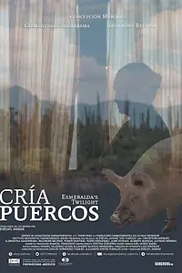 Постер к фильму «Cría puercos (2018)»