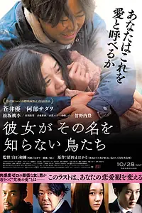 Главный постер фильма «Птицы, которых она никогда не знала (2017)»