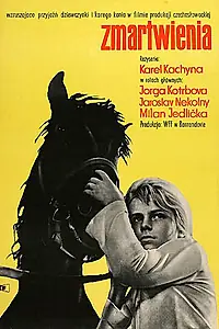 Постер к фильму «Терзания (1961)»