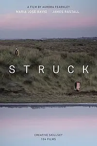 Постер к фильму «Struck (2017)»