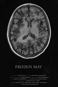 Постер к фильму «Морозный май (2017)»