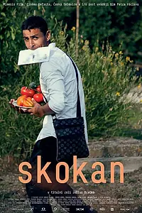 Постер к фильму «Skokan (2017)»