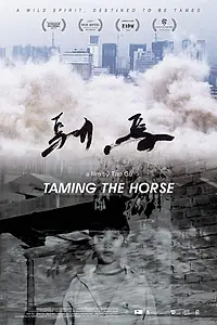 Главный постер фильма «Taming the Horse (2017)»