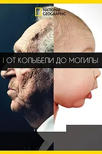 Постер к фильму «От колыбели до могилы (2016)»