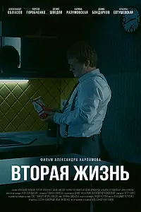 Постер к фильму «Вторая жизнь (2017)»