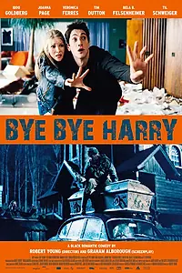 Постер к фильму «Снега нет (2006)»