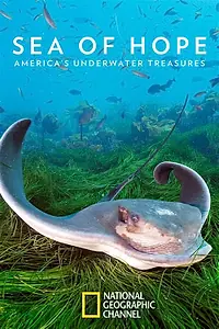 Постер к фильму «Sea of Hope: America's Underwater Treasures (2017)»