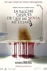 Главный постер фильма «La noche después de que mi novia me dejara»