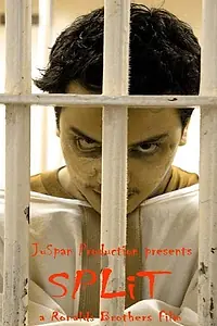 Постер к фильму «Split (2004)»