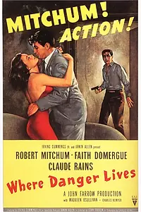 Главный постер фильма «Где живет опасность (1950)»