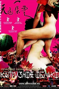 Главный постер фильма «Капризное облако (2005)»
