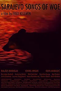 Главный постер фильма «Скорбные песни Сараево (2016)»