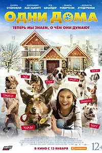 Главный постер фильма «Одни дома (2021)»