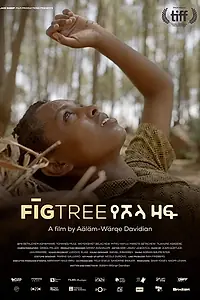 Постер к фильму «Инжир (2018)»