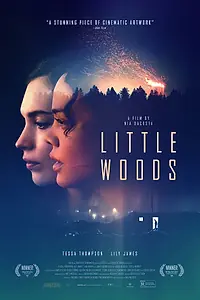 Постер к фильму «Лесок (2018)»