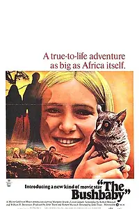 Главный постер фильма «The Bushbaby (1969)»