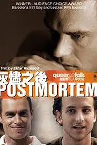 Постер к фильму «После смерти (2005)»