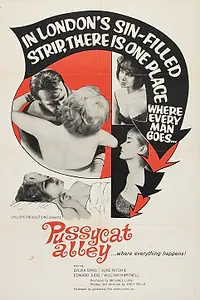 Главный постер фильма «Весь мир в кармане (1963)»