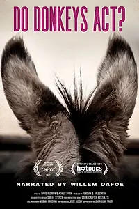 Постер к фильму «Do Donkeys Act? (2017)»