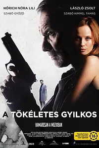 Постер к фильму «Идеальный убийца (2017)»