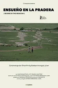 Главный постер фильма «Ensueño en la Pradera (2017)»