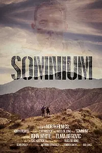 Постер к фильму «Сомниум (2017)»