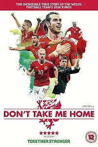Главный постер фильма «Не забирай меня домой (2017)»