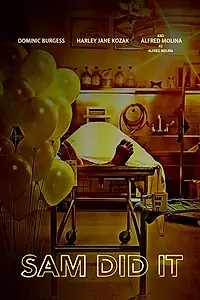 Постер к фильму «Sam Did It (2018)»