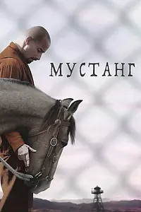 Постер к фильму «Мустанг (2017)»