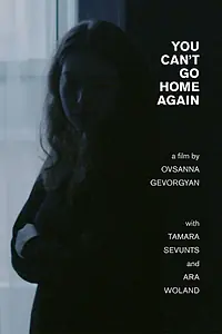 Постер к фильму «You Can't Go Home Again (2017)»