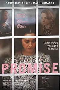 Постер к фильму «Promise (2017)»